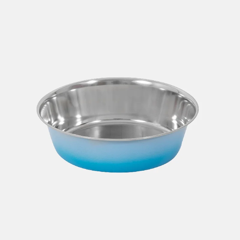 multi-functional pet carrier-Ombre Stainless Steel Pet Bowl