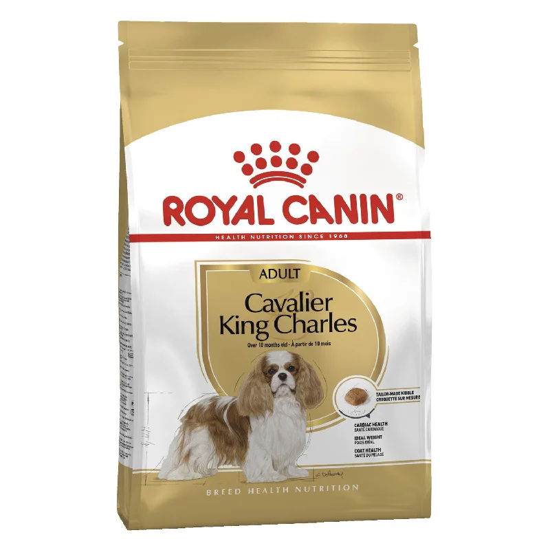 cat scratching post-Royal Canin Cavalier King Charles Adult Dry Dog Food