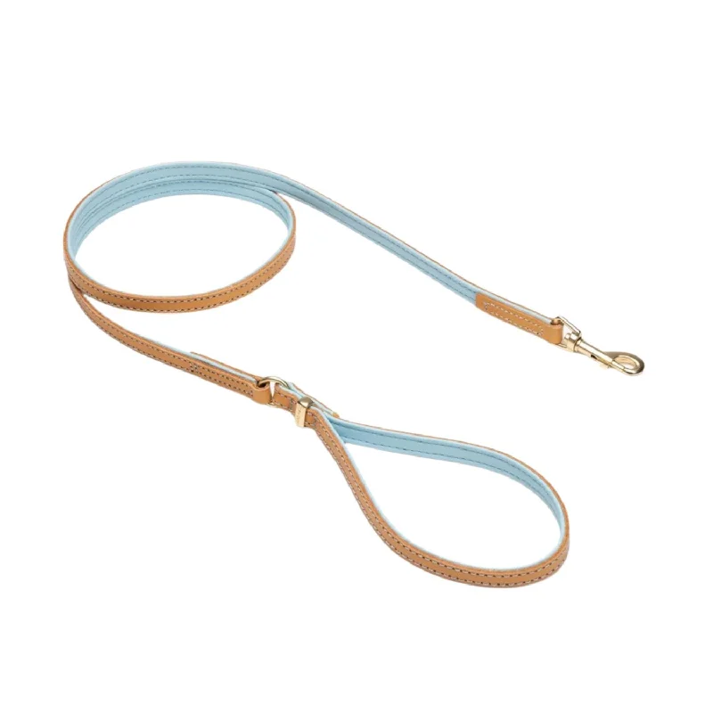 calming pet diffuser-EzyDog Oxford Leather Dog Lead LITE Powder Blue