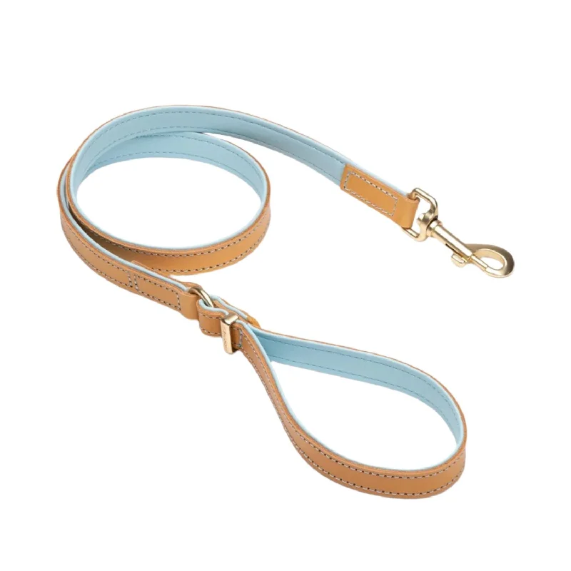 dog-friendly sunscreen-EzyDog Oxford Leather Dog Lead Powder Blue