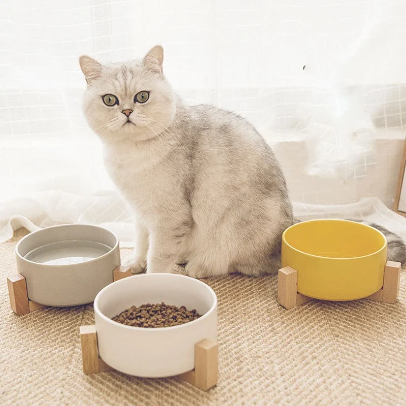 pet-friendly air purifier-Ceramic Pet Bowl, Water, Feeding, Non-Slip, Wooden Frame, Anti Overturning