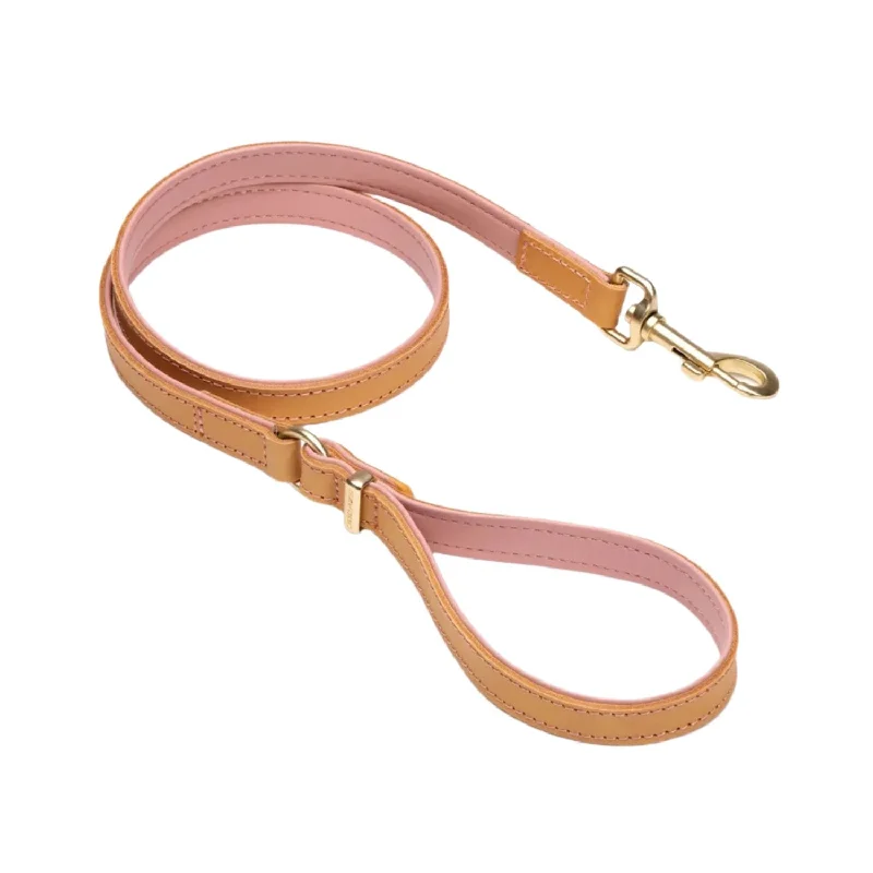 space-saving cat hammock-EzyDog Oxford Leather Dog Lead Blush Large