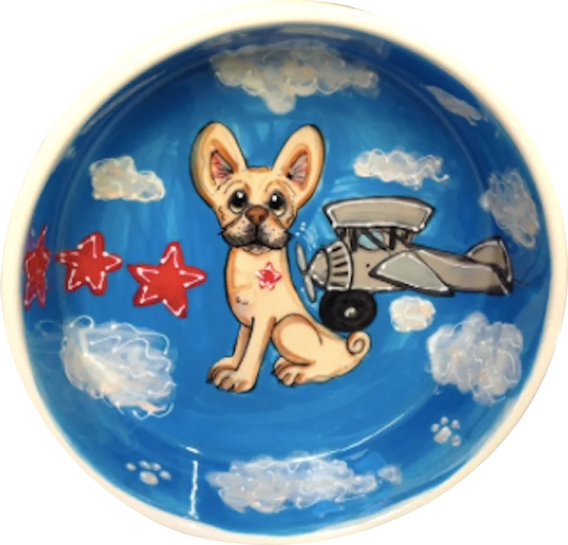 designer dog collar-Aviation Ceramic Dog Bowl