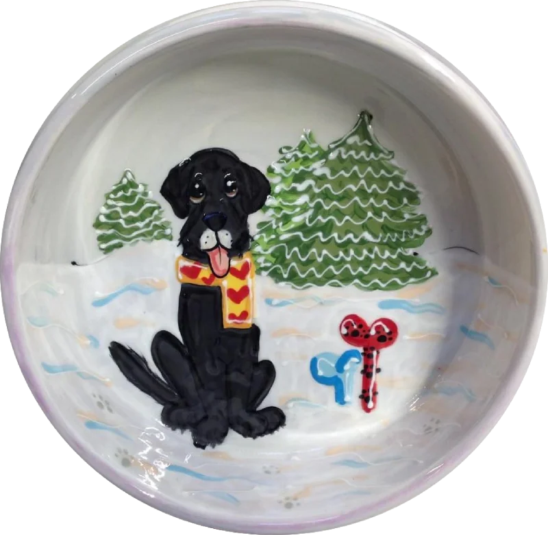 pet grooming tools-Frosty The Snow Paws Holiday Pet Bowl