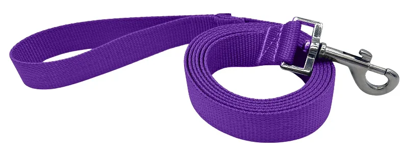 glow-in-the-dark dog collar-1" Solid Color Snap Leash