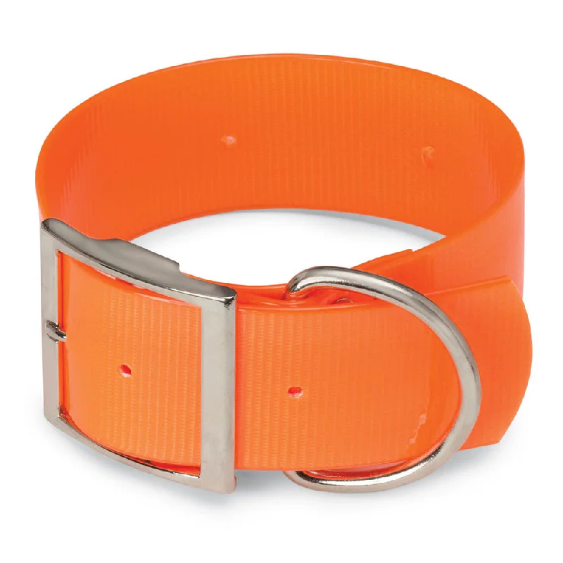 collapsible dog crate-Extra Wide 2" Day-Glo Dog Collar - D-Ring in Front