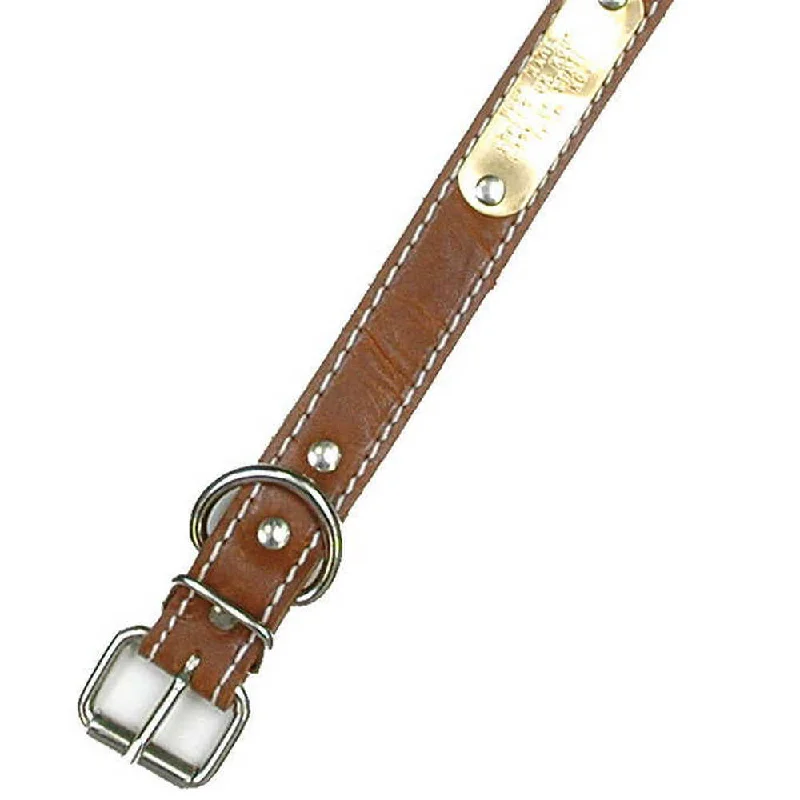 flea and tick prevention-Double Ply 1" Wide Stitched Leather Dog Collar - D-Ring Behind Buckle