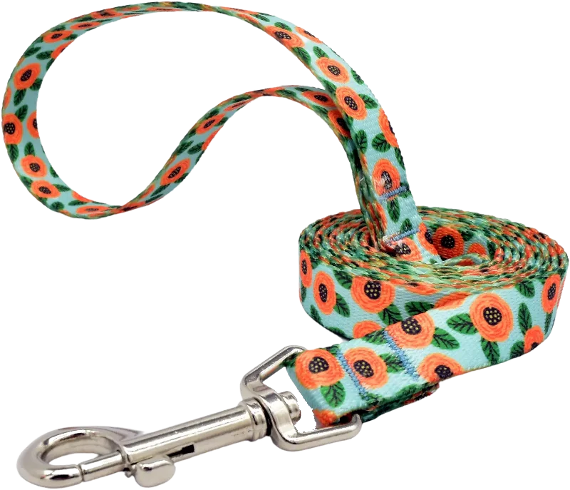 squirrel-proof bird feeder-5/8" Patterned Snap Leash