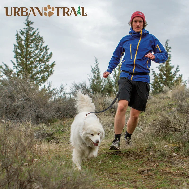 dog-friendly sunscreen-Urban Trail® Double Duty Leash