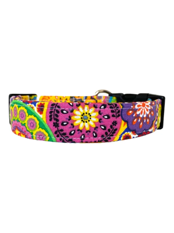 anti-bark dog collar-Amara Dog Collar