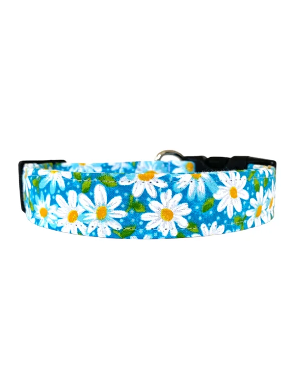 hypoallergenic pet shampoo-Daisies in Aqua Dog Collar