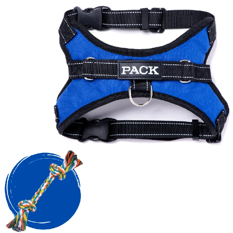 collapsible pet carrier-Bold Blue + Rope Toy - Free Product