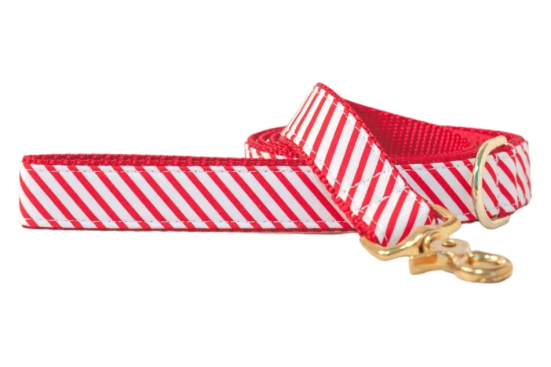 noise-canceling dog headphones-Candy Cane Stripe Dog Leash