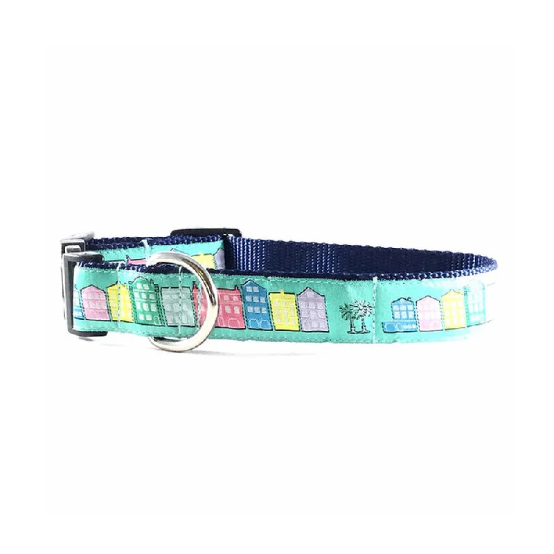 smart dog door-Caribbean Blue Rainbow Row Dog Collar