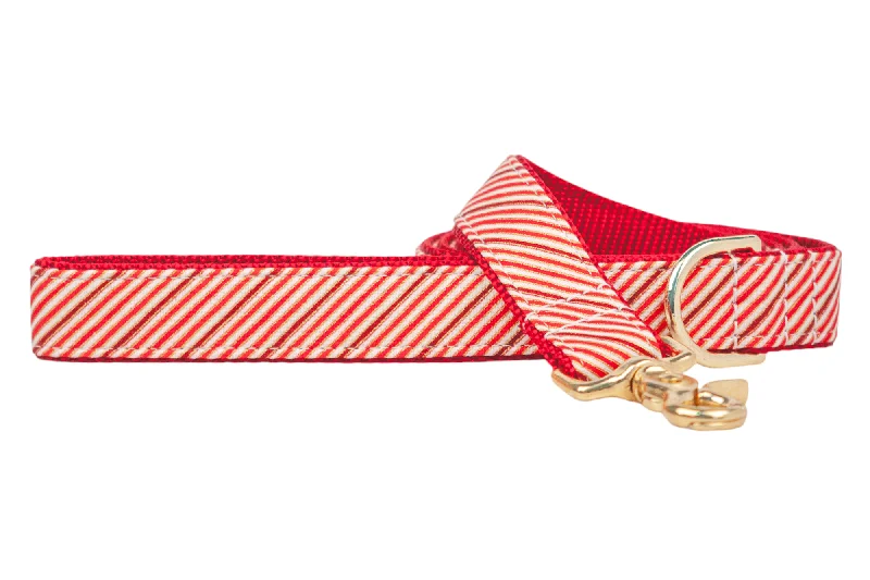 cat scratching post-Cinnamon Stripe Dog Leash