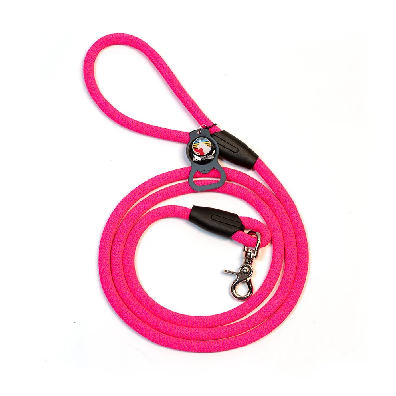 hamster exercise wheel-Classic Dog Leash - Pinks/Purples