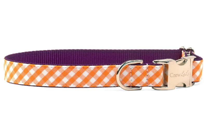 hamster habitat tunnels-Clemson Orange Check on Purple Dog Collar