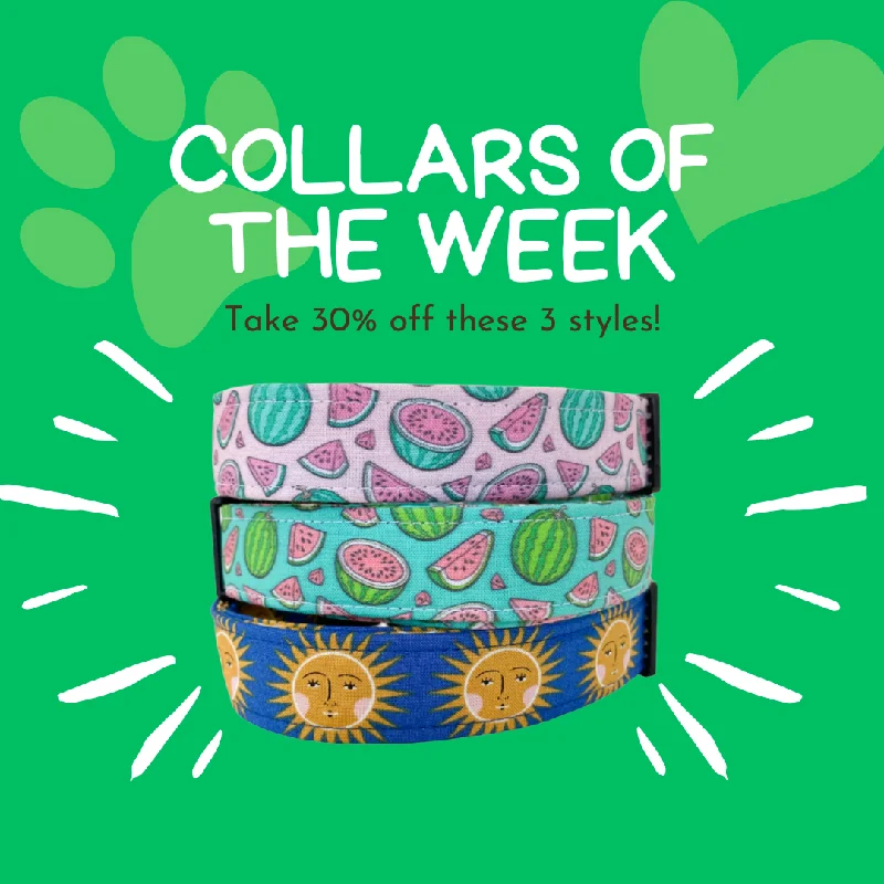 cat grass growing kit-Collars of the Week