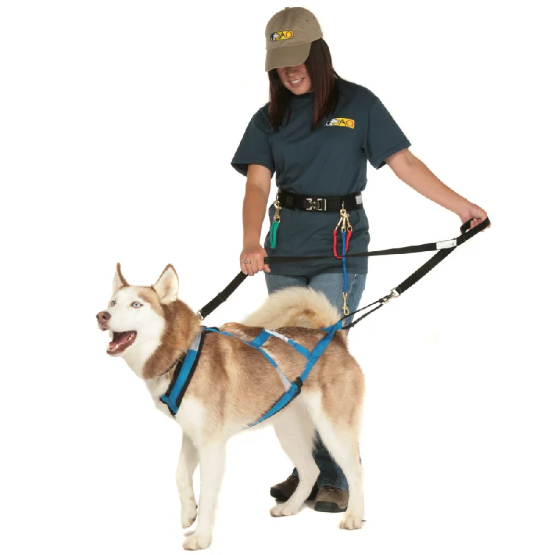 fish tank gravel vacuum-Command Training Leash