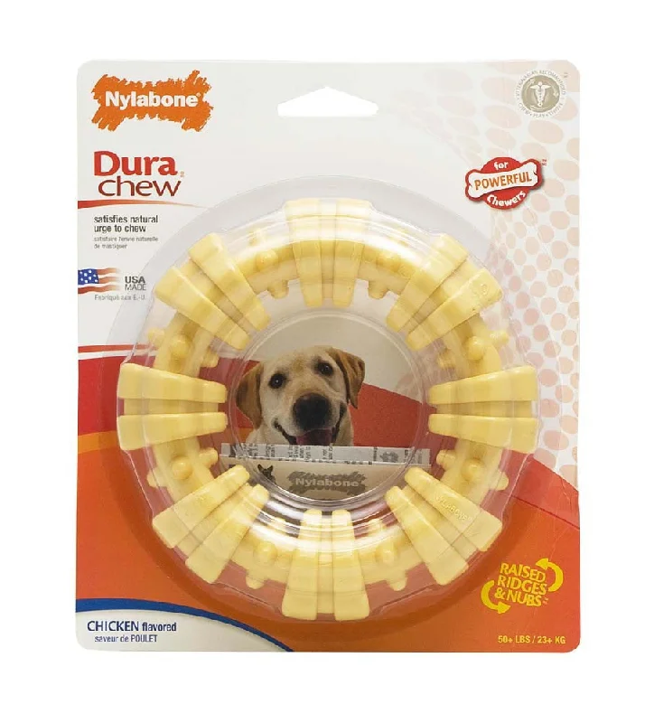 pet-safe houseplants-Nylabone Dura Chew Plus Large Textured Ring Dog Chew