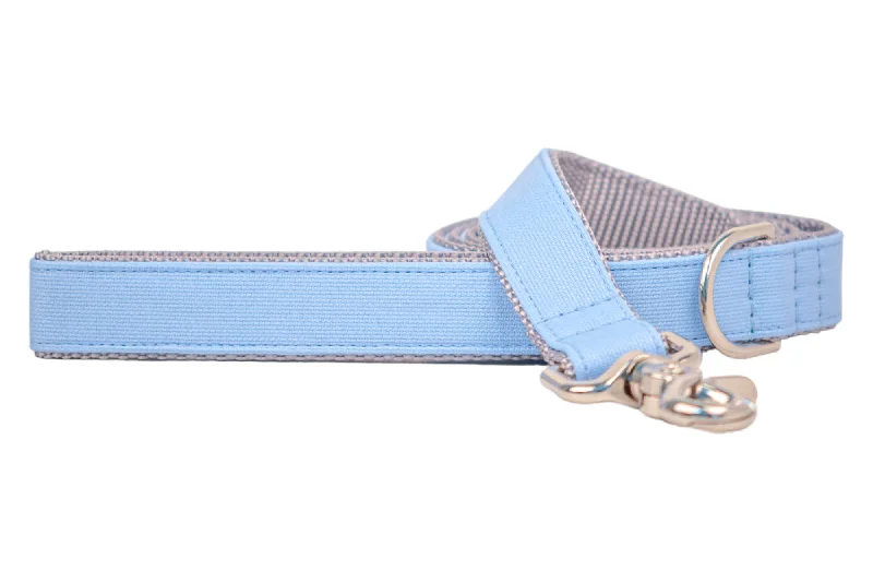 waterproof pet couch cover-Cornflower Blue Dog Leash