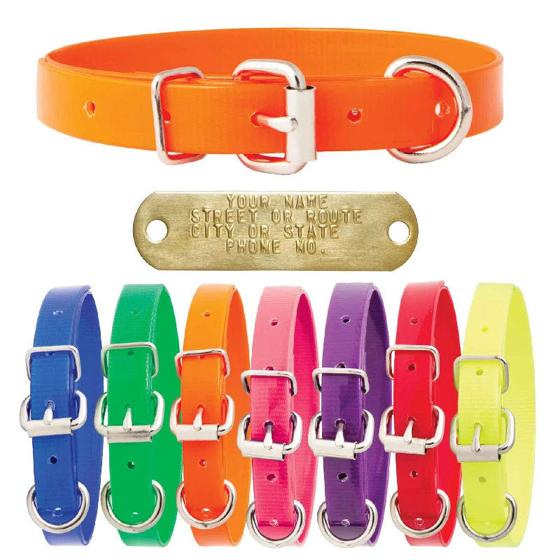 anti-bark dog collar-Nite Lite 3/4" Day-Glo Collar D-Ring in Front