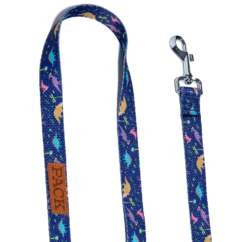 pet dental care kit-Dino Matching Leash + Rope Toy - Free