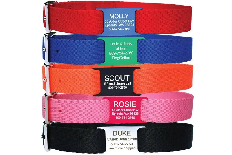 flea and tick prevention-Dog Collar with Personalized Slide-On Nameplate