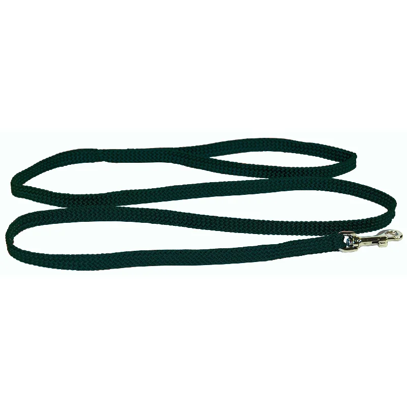 large dog food storage-Flat Braided Leashes