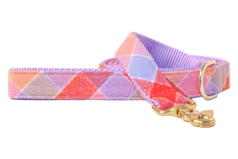 parrot chew toys-Fruit Punch Flannel Dog Leash