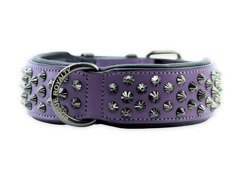 freeze-dried raw dog treats-Hand Made Leather Dog Collar - Ruthless Purple & Black (Wide Fit)