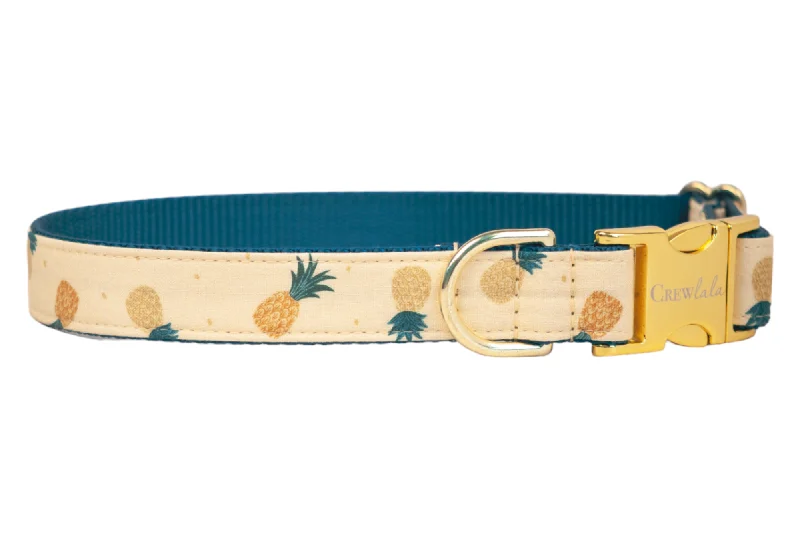 large dog food storage-Happy Pineapples Dog Collar