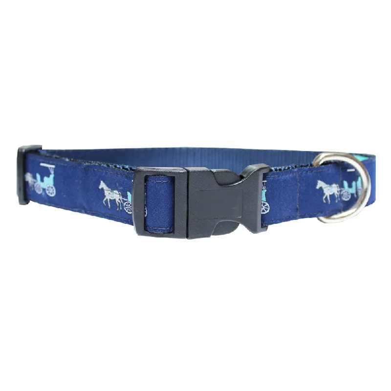 indestructible dog toy-Horse & Buggy Dog Collar