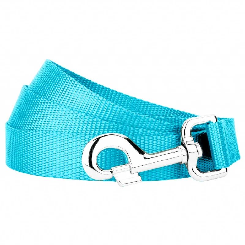 small animal playpen-Ice Blue Dog Leash