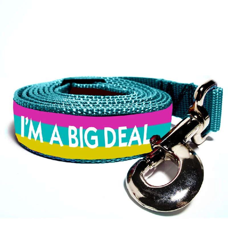 waterproof pet couch cover-I'm A Big Deal Dog Leash