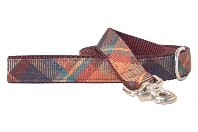 shock-absorbing dog leash-Ivy League Dog Leash