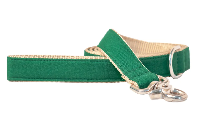 parrot training perch-Kelly Green Dog Leash