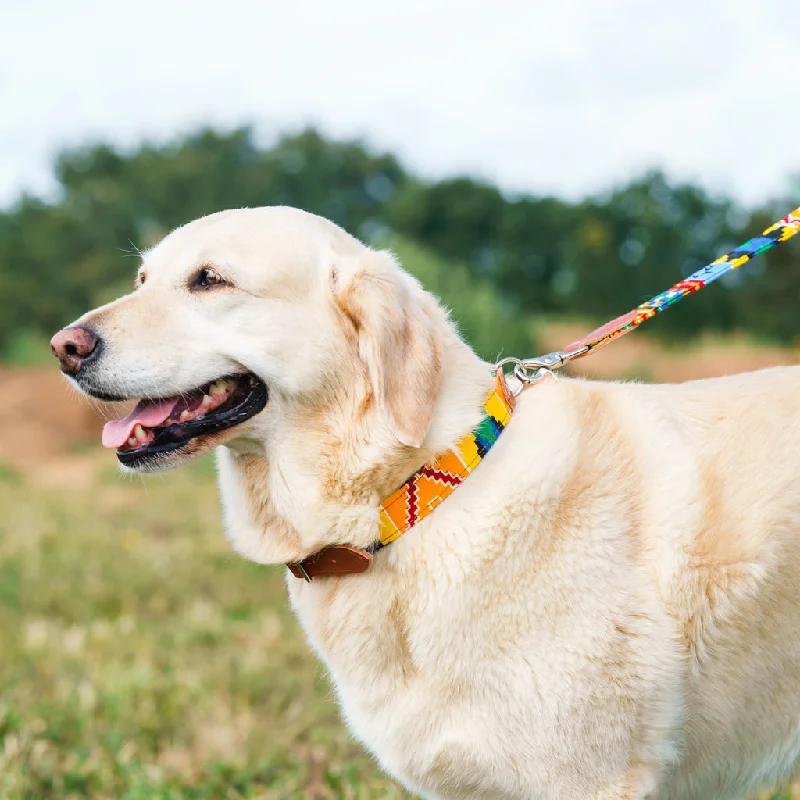 pet-safe houseplants-Kente Dog Collar