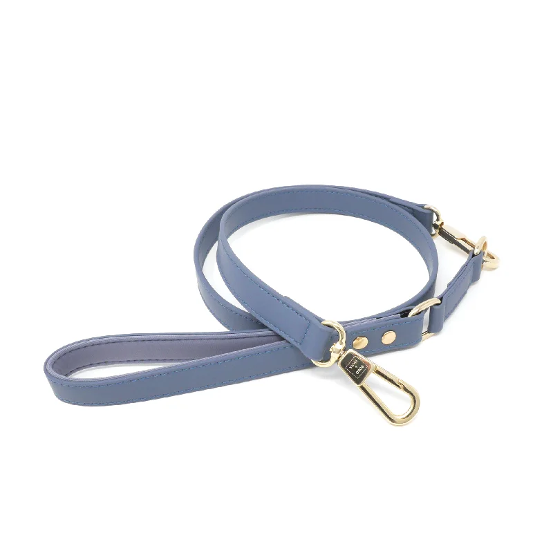 eco-friendly dog leash-Leash - Stone Blue