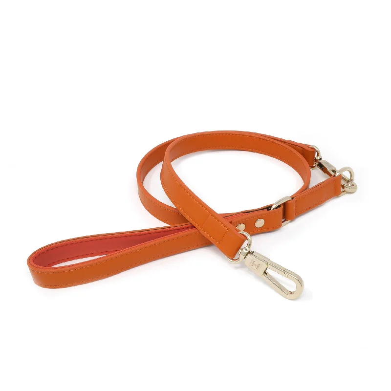 anti-bark dog collar-Leash - Tangerine Orange