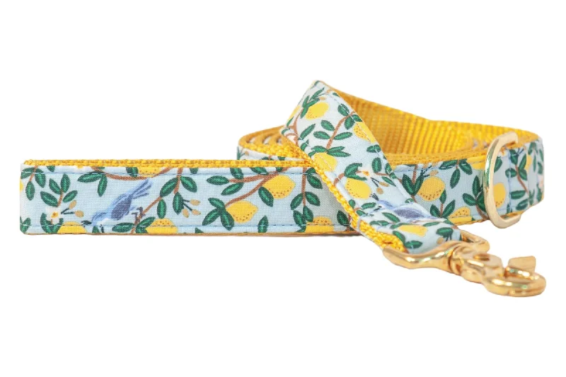 bird cage accessories-Lovely Lemon on Yellow Dog Leash