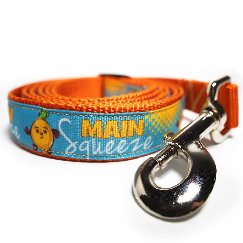 cat water fountain-Main Squeeze Dog Leash