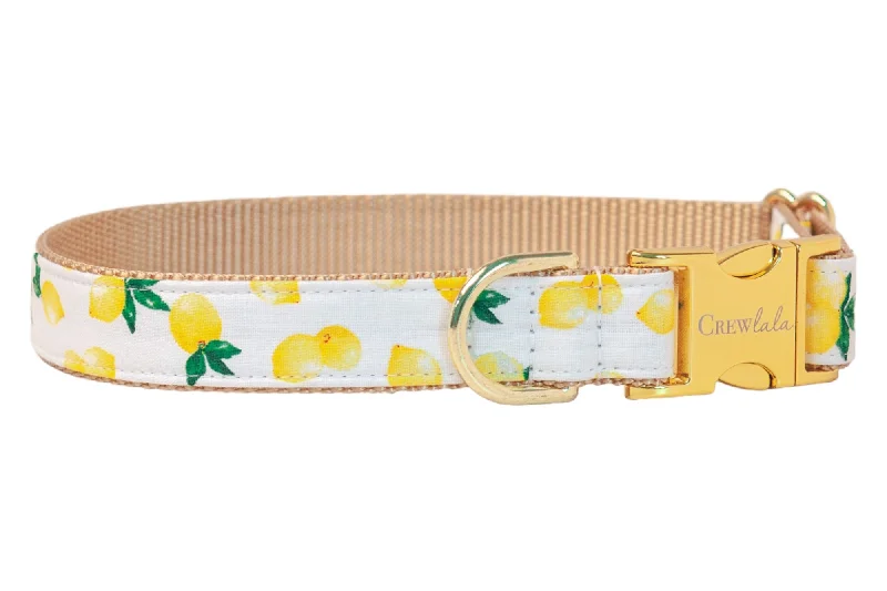 dog paw balm-Make Lemonade Dog Collar