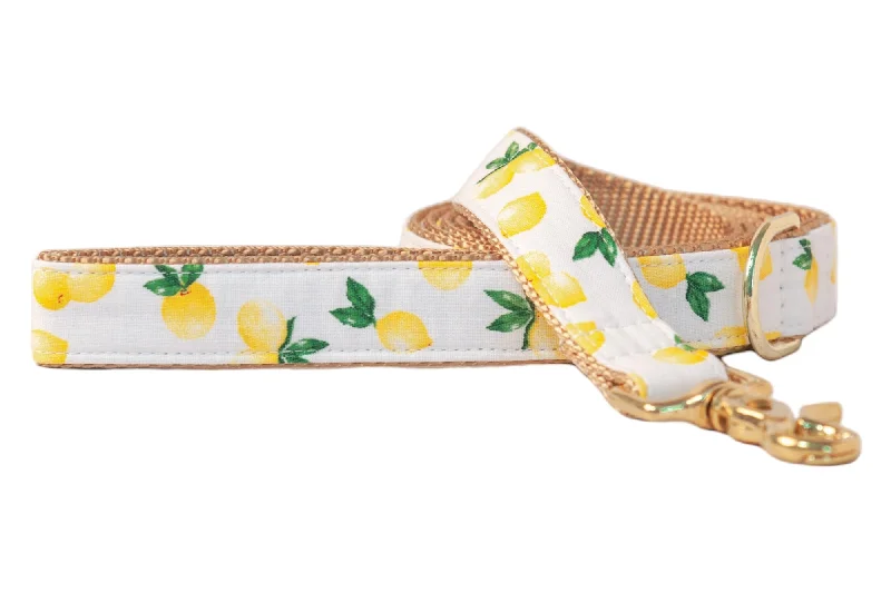 tangle-free dog leash-Make Lemonade Dog Leash