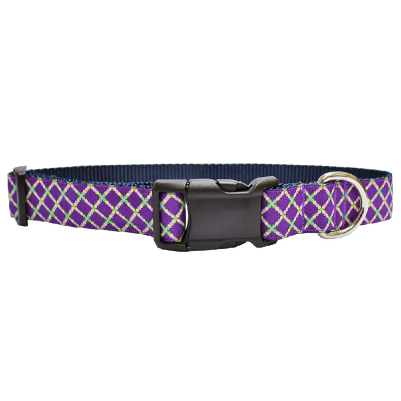 heavy-duty dog crate-Mardi Gras Mambo Beads Dog Collar