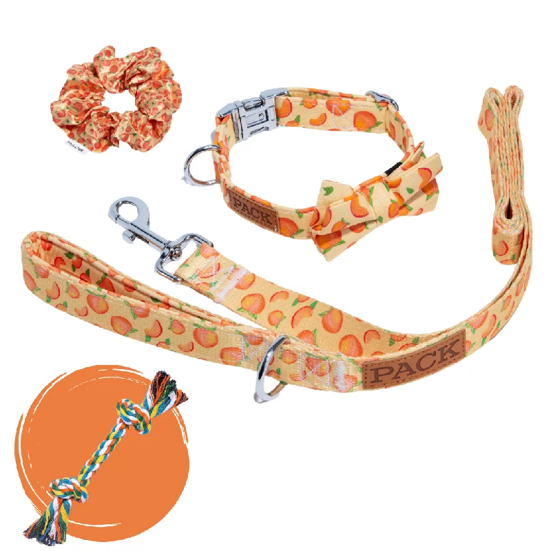 soft-sided pet travel crate-Matching: Bowtie Collar + Leash + Rope Toy + Scrunchie