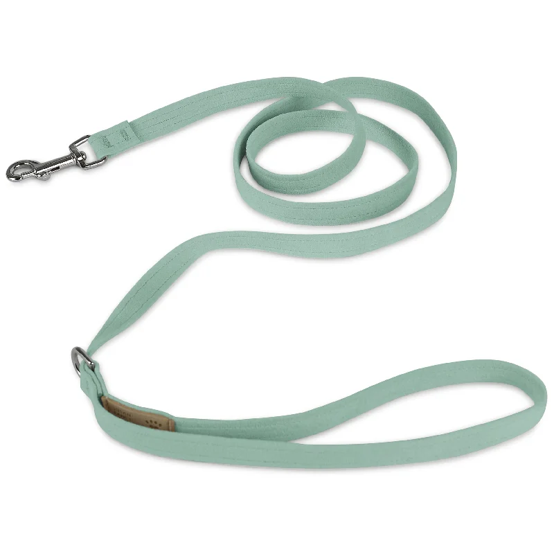 parrot training perch-Mint Solid Leash