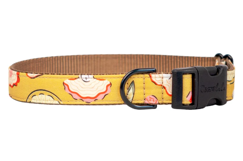 dog agility training set-Oyster Roast Dog Collar On Tan