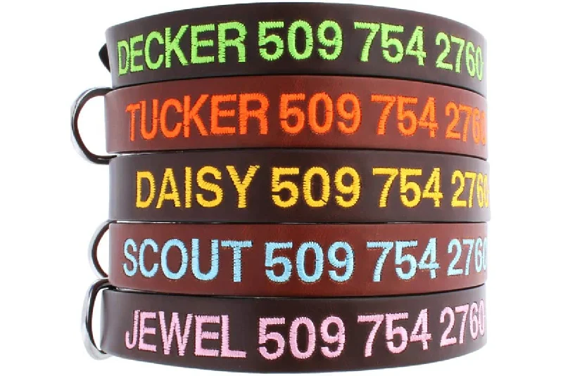 dog-friendly sunscreen-Personalized Leather Dog Collar Embroidered