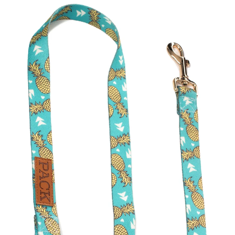 freeze-dried raw dog treats-Pineapple Matching Leash + Rope Toy - Free